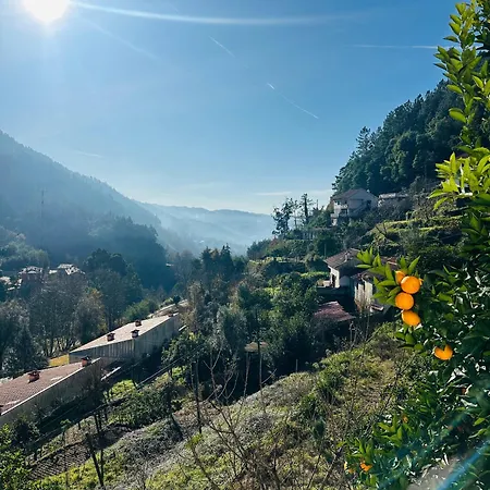 Mountain View Guest House,geres بيت ضيافة جيريز