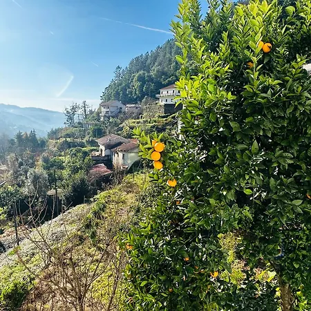 Penzion Mountain View Guest House,geres