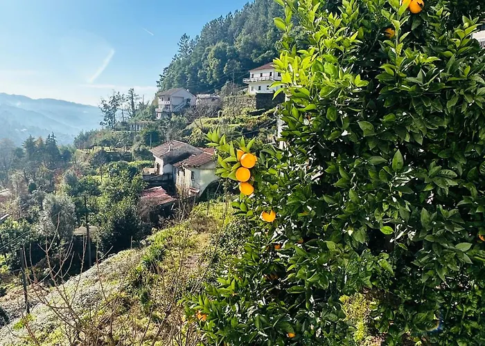 게스트하우스 Mountain View Guest House,geres